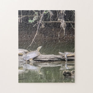 Turtle on a Log Jigsaw Puzzle