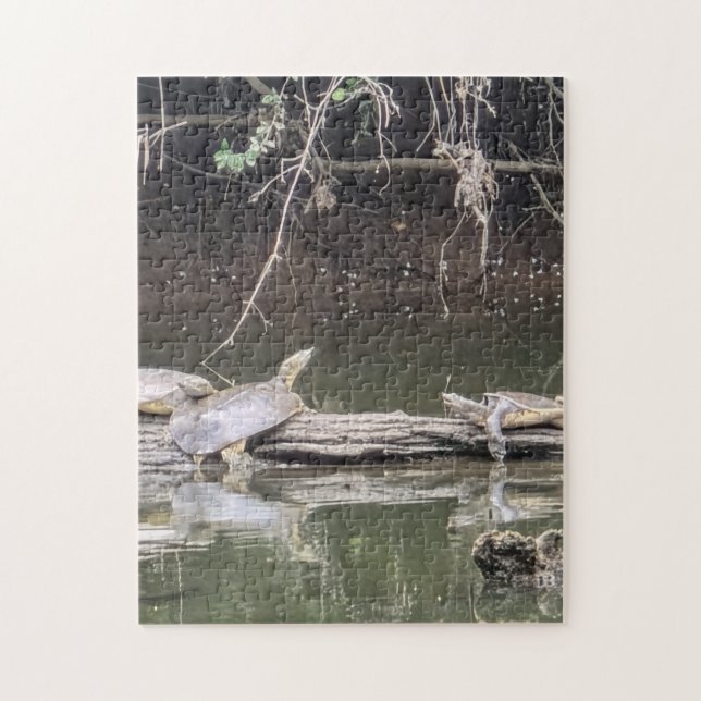 Turtle on a Log Jigsaw Puzzle (Vertical)