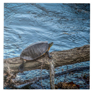 Turtle On A Log Tile