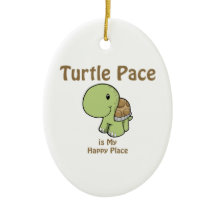 Turtle Pace is my Happy place