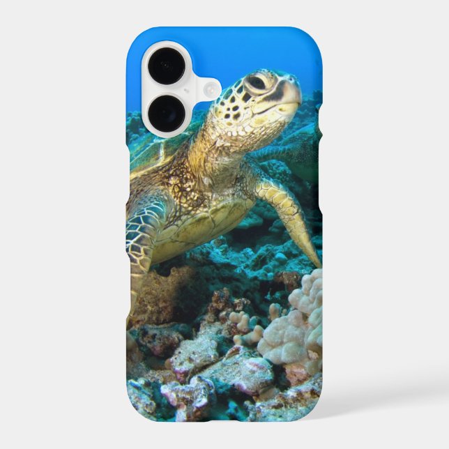 Turtle Pair (Back)