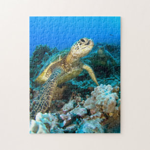 Turtle Pair Jigsaw Puzzle