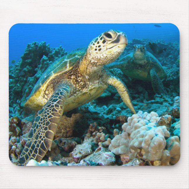 Turtle Pair Mouse Mat (Front)