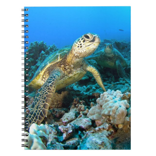 Turtle Pair Notebook (Front)