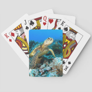 Turtle Pair Playing Cards