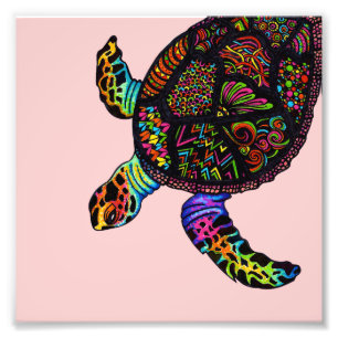 Turtle Photo Print
