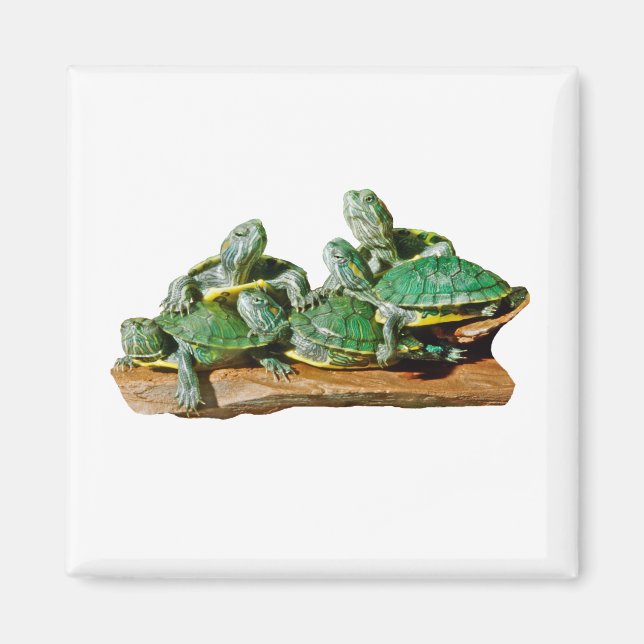 Turtle Picture Magnet (Front)