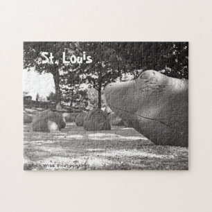 Turtle Playground Jigsaw Puzzle