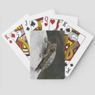 Turtle Playing Cards
