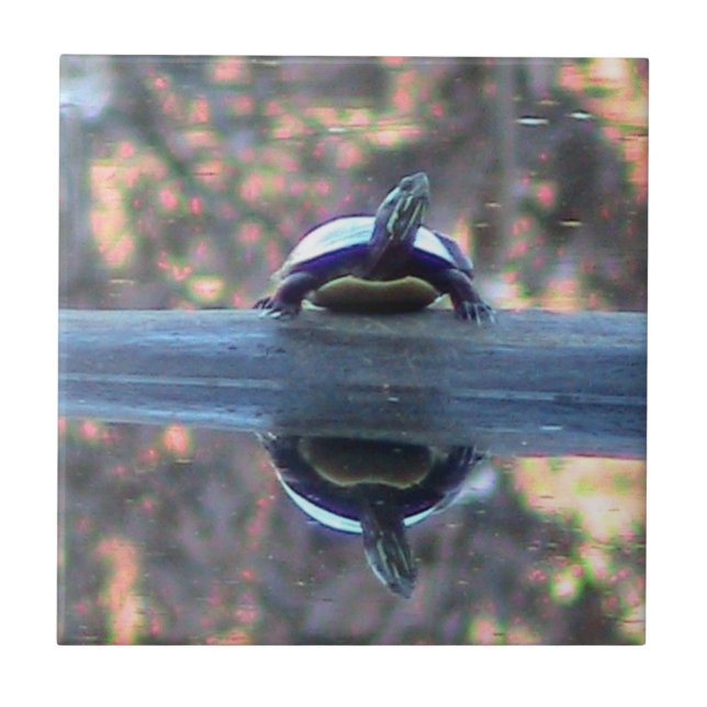 Turtle Reflected Decorative Tile (Front)