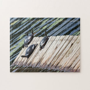 Turtle Rest Stop Jigsaw Puzzle