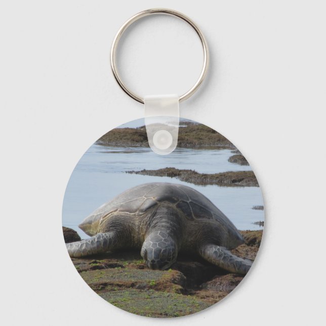 Turtle Resting On The Rocks Key Ring (Front)