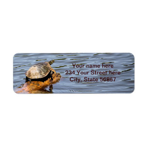 Turtle Return Address Labels