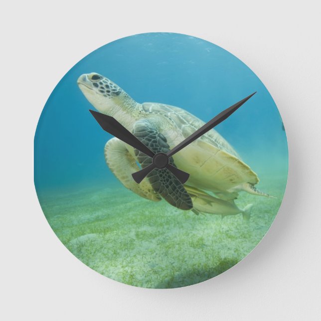 Turtle Round Clock (Front)