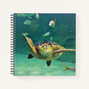Turtle Sea Water Fish Photo Notebook