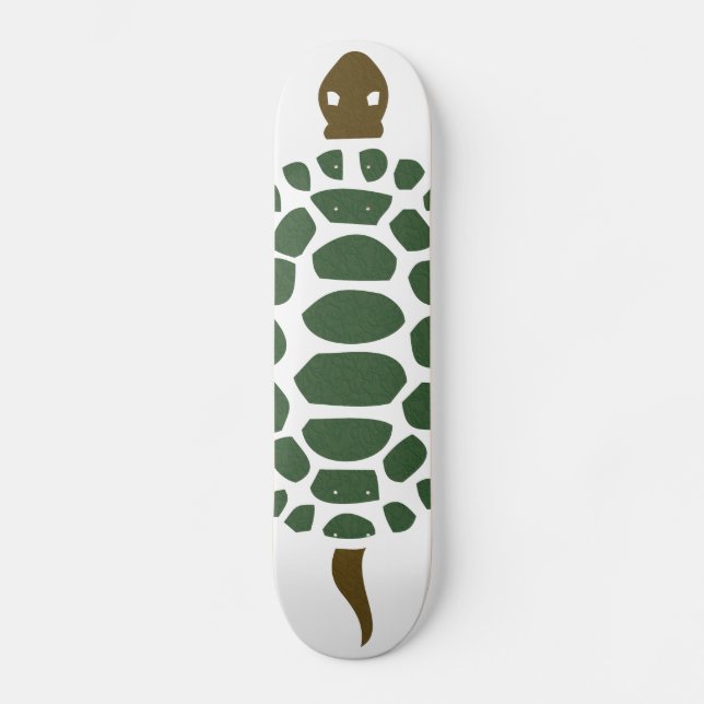 Turtle Skateboard (Front)
