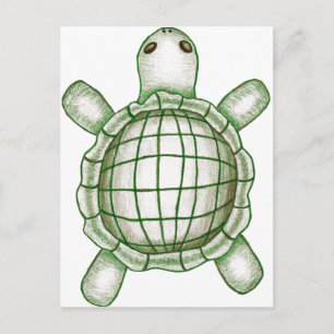 Turtle Sketch Postcard
