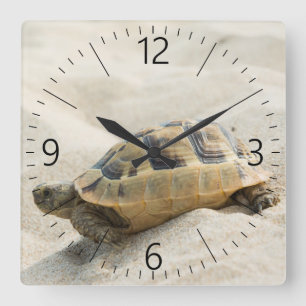 Turtle Square Wall Clock