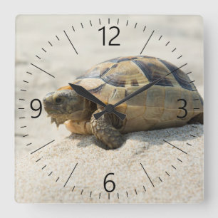Turtle Square Wall Clock