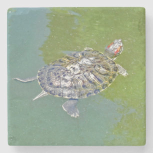 TURTLE Stone Coaster
