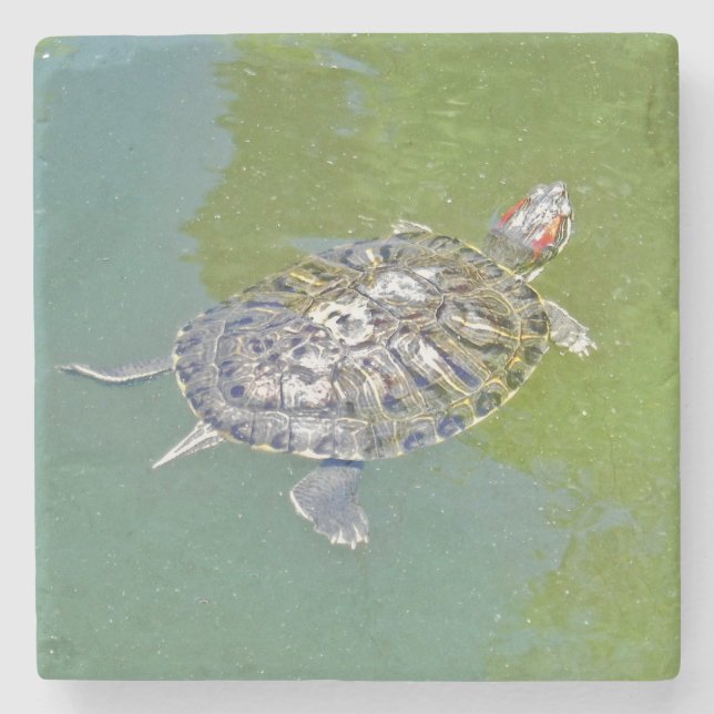 TURTLE Stone Coaster (Front)