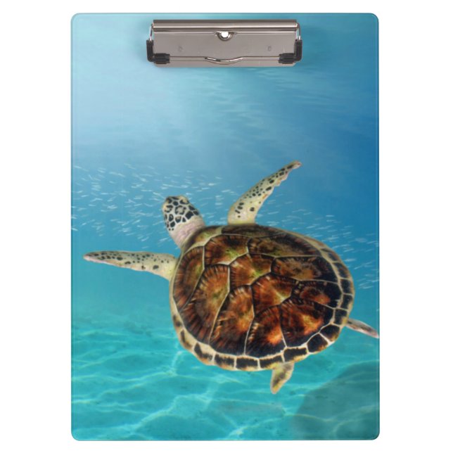 Turtle swimming underwater clipboard (Front)