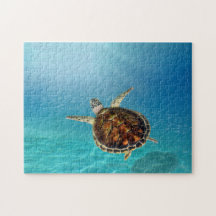 Turtle swimming underwater Puzzle