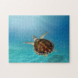 Turtle swimming underwater Puzzle