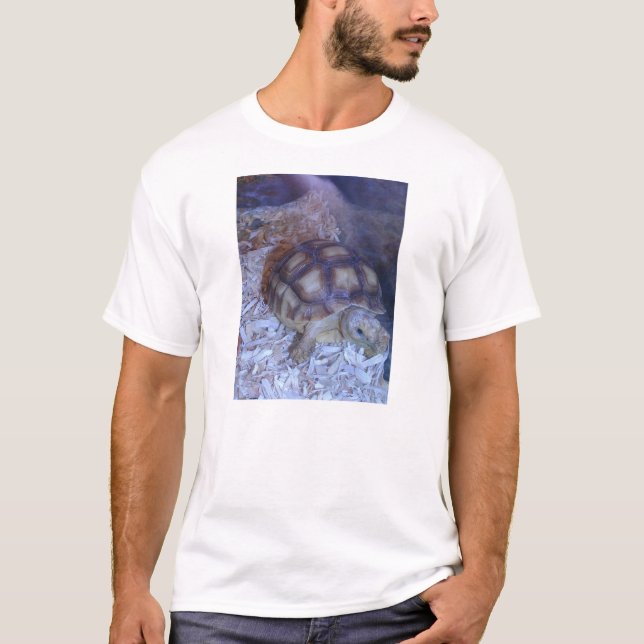 Turtle T-Shirt (Front)