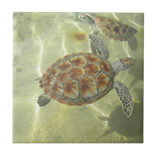 Turtle Tile
