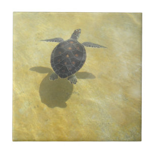 Turtle Tile