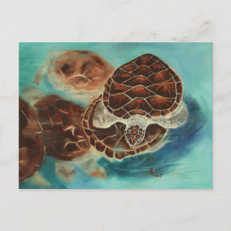 Turtle Time Postcard