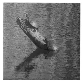 Turtle Time Times Two Ink 6x6 Ceramic Tile by Janz