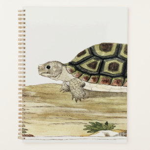 Turtle & Tortoise Harmony: Post-it Notes Jigsaw Planner