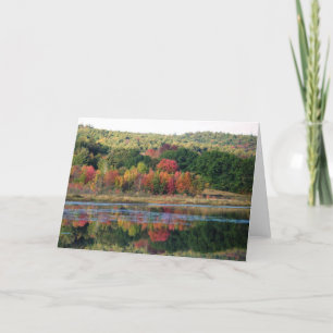 "Turtle Town Pond" Card