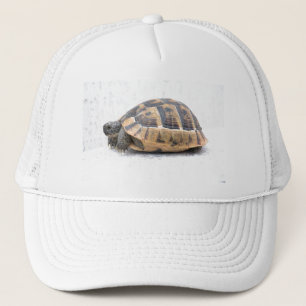 Turtle Trucker Hat