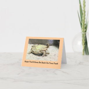 "TURTLE TURNED ON ITS BACK" GET WELL CARD