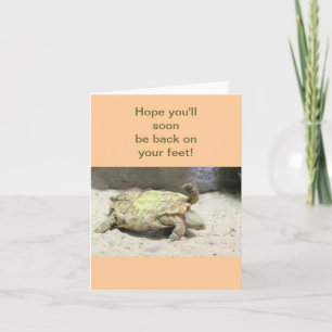 "TURTLE TURNED ON ITS BACK" GET WELL CARD