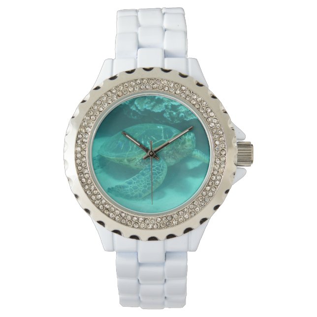 Turtle Underwater Watch (Front)