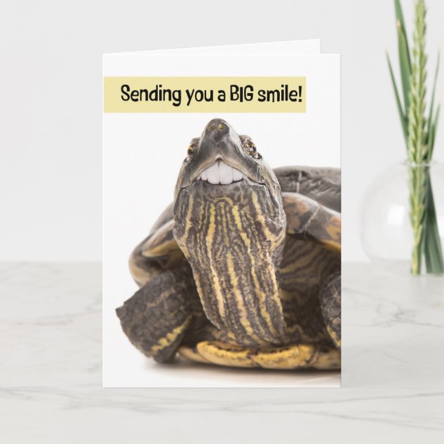 Turtle With Big Teeth Smiling Humour Holiday Card (Front)