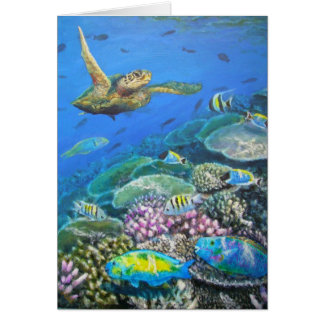 turtle with parrotfish