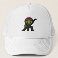 Turtle with Shell as Ninja