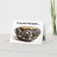 Turtle With Teeth Stuck on Back Encouragement