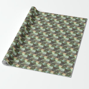 Turtle Wrapping Paper