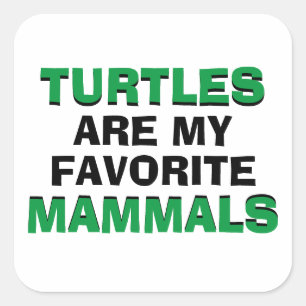 Turtles Are My Favourite Mammals Biology Joke Square Sticker