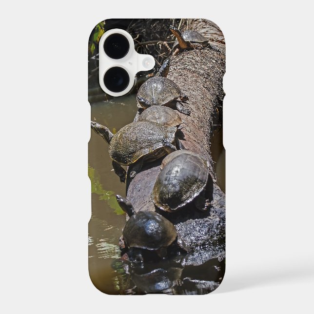 Turtles at Tortuguero National Park - Costa Rica (Back)