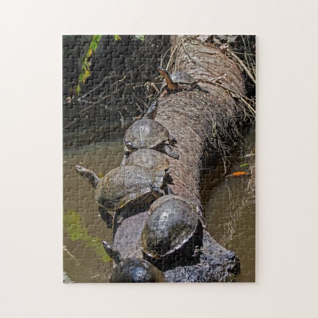 Turtles at Tortuguero National Park - Costa Rica Jigsaw Puzzle (Vertical)