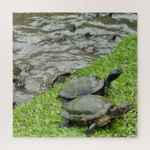 Turtles by the Water Jigsaw Puzzle