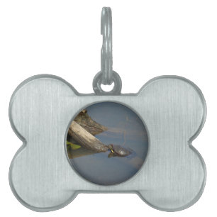Turtle's Day Off Pet Tag