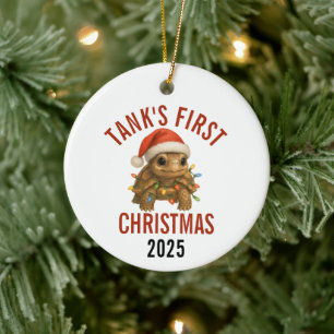 Turtle's First Christmas 2025 Ceramic Tree Decoration